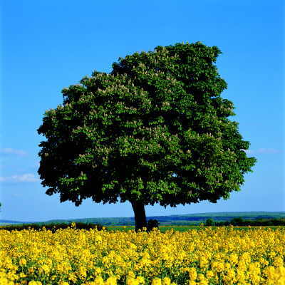 Foto: Michael Weber http://www.weber-panorama.de